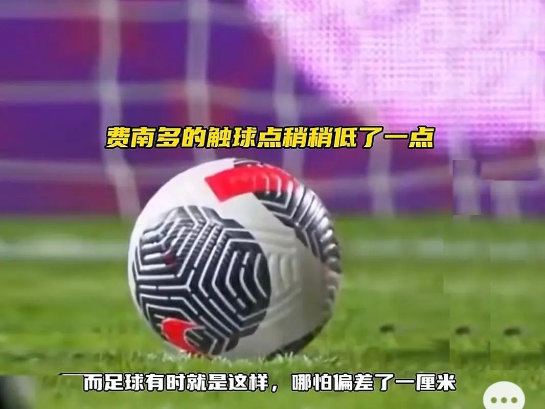 领比利时队
