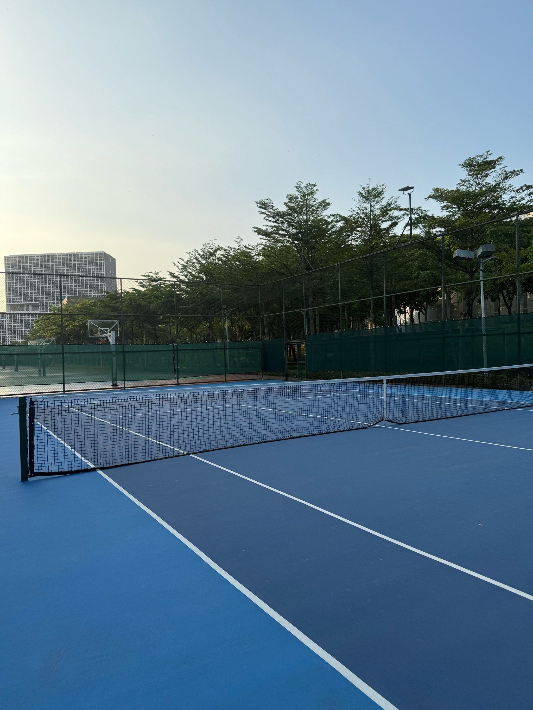 鹰的后场核 鹰的后场核